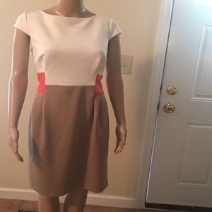 Size 10 Dress